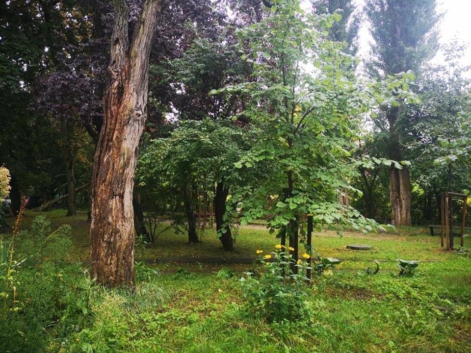 Apartament Wroblewski Leilighet Gdańsk Eksteriør bilde